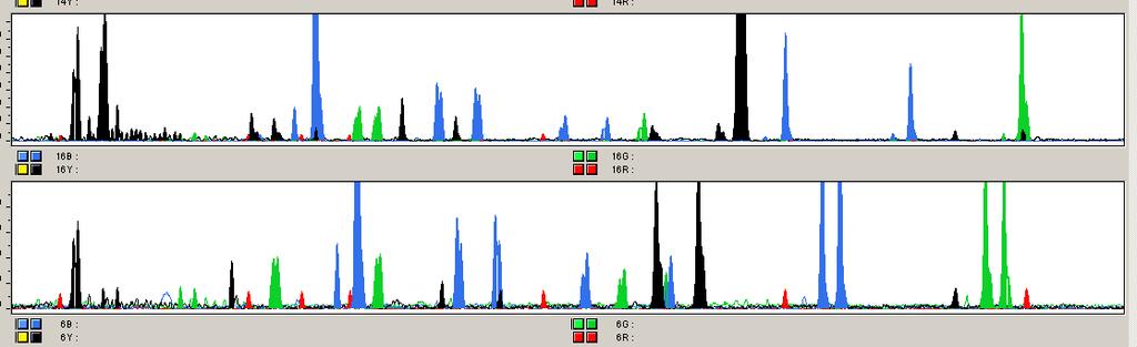 IBG-Hvar1 (a zygosity panel) Amelogenin D2S1384 D13S796 D8S1119 D1S1679 D4S1627 D9S301 D20S481 D3S1766 D7S1808