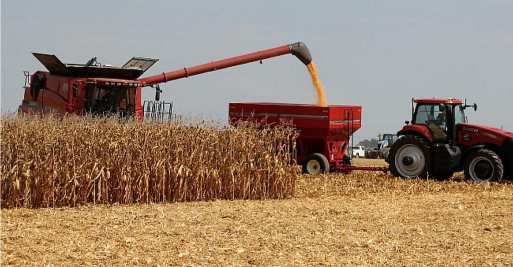 Grain (wheat/corn/barley) Warm mid-latitude climates Wheat, corn, barley, oats, rye, beans Large farms Heavily mechanized: planting, harvesting, transporting Easy to