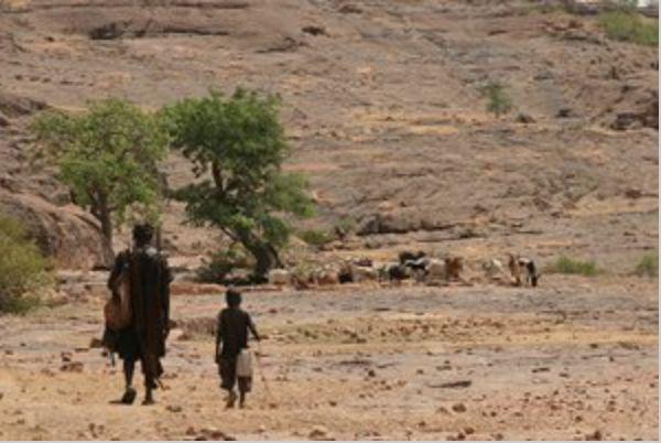 Pastoral Nomadism Subsistence by herding domesticated animals Strong sense of territory (big enough to contain food and water needs of animals) Not just wanderers Milk, hides, beasts of burden, meat