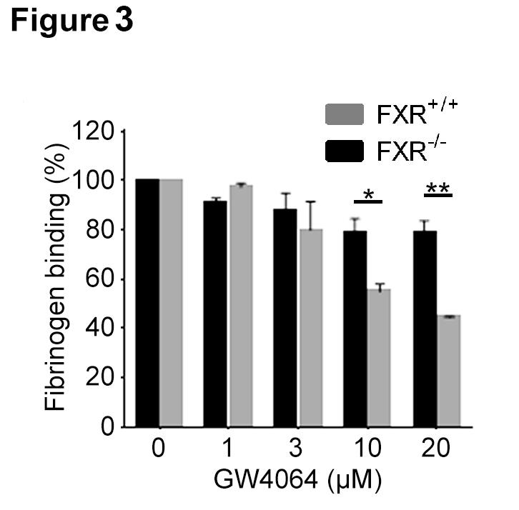 Figure 3 - The actions of GW4064 on platelets are mediated through FXR. Blood from FXR +/+ and FXR -/- mice was treated with GW4064 or vehicle (containing DMSO 0.