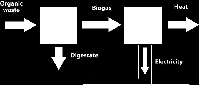 0 Polygeneration Systems : Biogas & CHP The biogas is used by a CHP producing heat and power. In most of the plants, the biogas is stored in a tank and used on site in a CHP system.