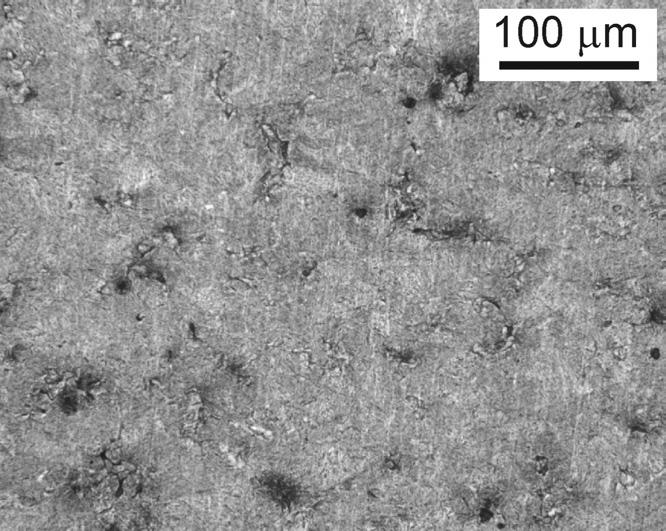 to dominant bainitic microstructures and some martensite in