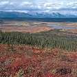 soil Taiga describes northernmost part of