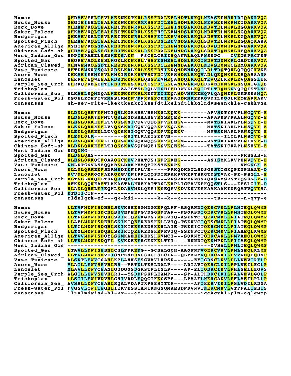 Transcription Start Open Reading Frame (ORF) Start Codon Bioinformatics can be used to DNA binding sites - Computer software searches the genomic sequence for predicted sequences (promoters,