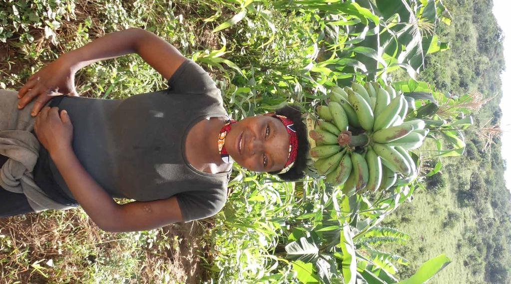 A resource for scientists and research teams Towards gender-responsive BANANA RESEARCH for development in the East-African Highlands Banana production is an important livelihood for farming