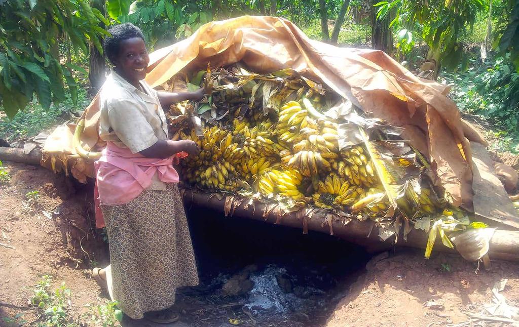 What we know so far Similar trends across the East Africa Highlands 1. Banana as a semi-permanent crop indicates a claim on land and land is for men.