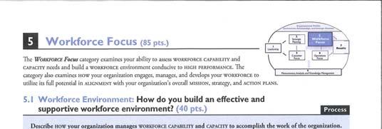 Category 5: Workforce Focus Assess capability