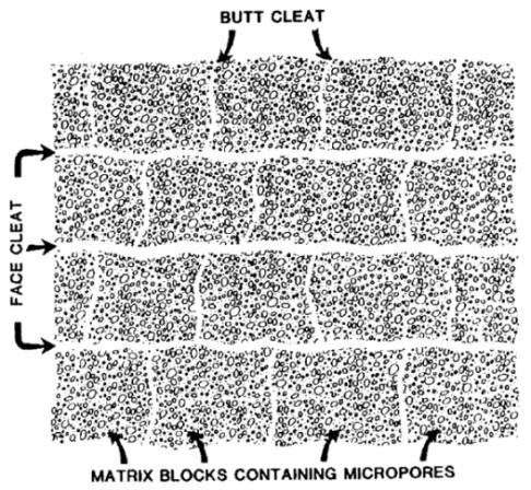 Literature Review Pore Structure of Coal The pore structure of coal, which is characterised as dual-porosity, contains a micropore (primary porosity) system defined as matrix and a macropore