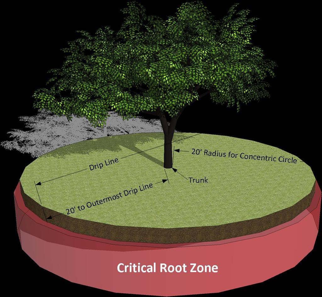 iv. Indicate type of temporary fencing or barricade devices to be used to protect critical root zones (CRZ) of all existing trees to be preserved during the construction period.