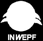 The member structure, the mission statement and the mandate of each Working Groups are described as per separate paper Terms of Reference for INWEPF Working Groups. 1.