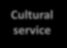 services Cultural