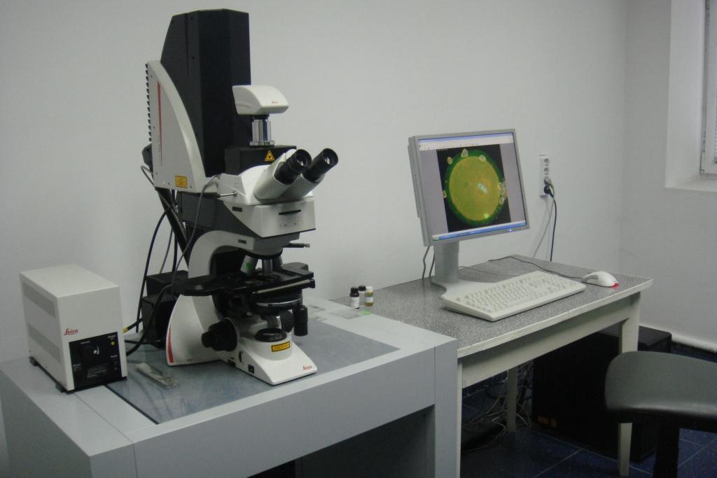culture lab, IVF / embryo