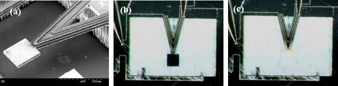 tilting for the TiNi/Si micromirror structures can be observed. The deformation of the beam tip was measured using a CCD camera connected to a computer under different temperatures. Fig.
