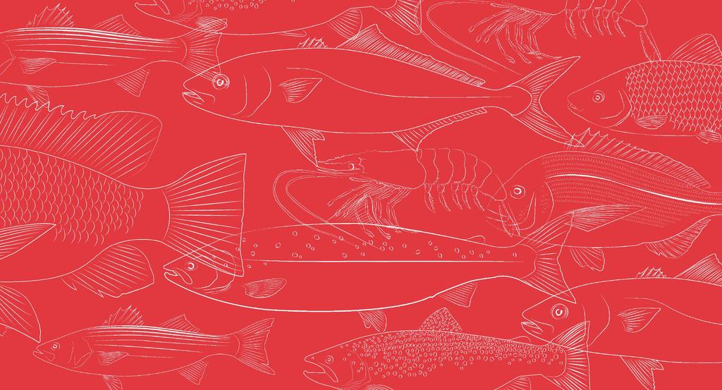 Volume dynamics of fishmeal in salmon feeds Marta