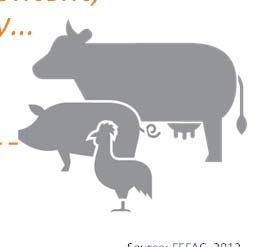 7 DRY PULPS ANIMAL FEED INDUSTRY EU 27 Use of raw materials by the feed industry (2011) 12% 48% 28% 12% Around 40%