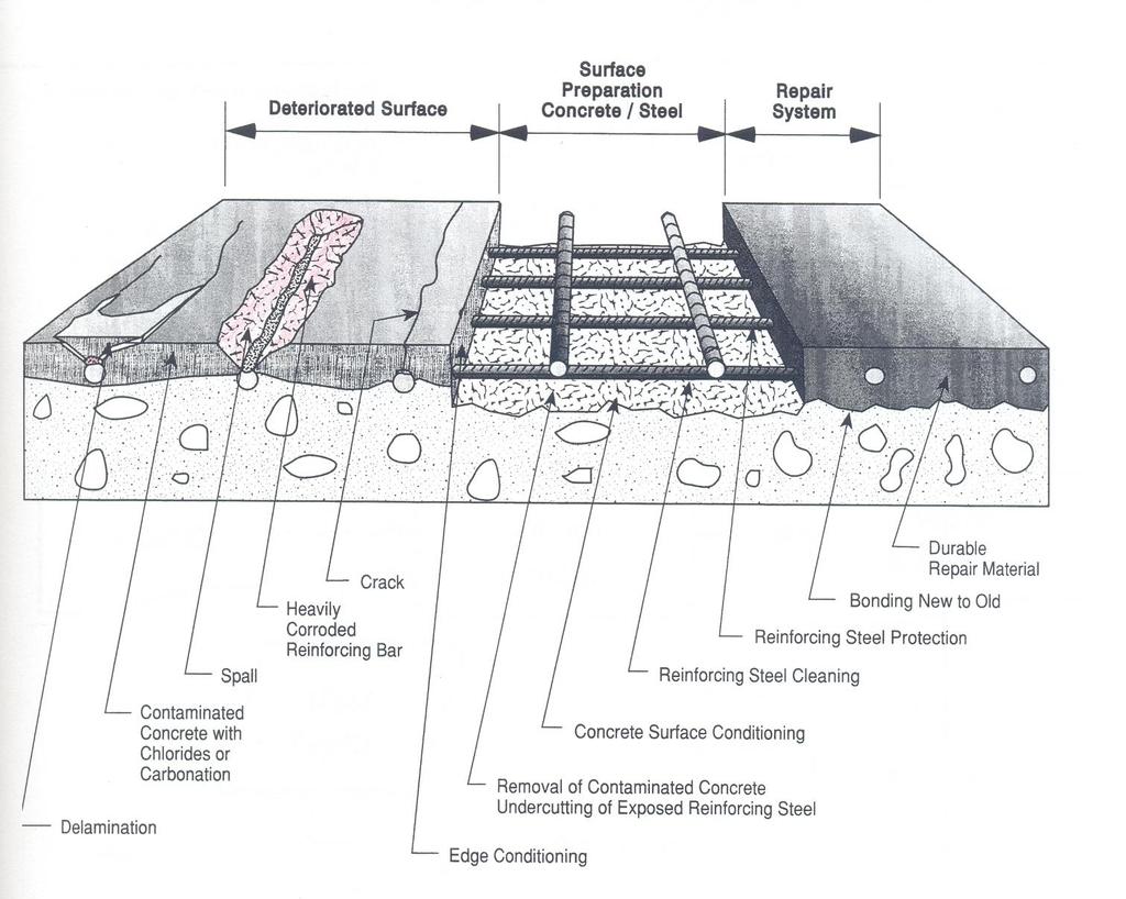 Anatomy of Surface Repairs MAB