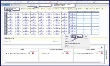 Easy and accurate data collection through autoanalyses