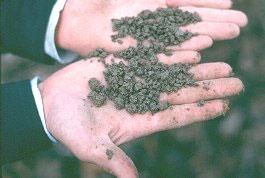 Granular Soil