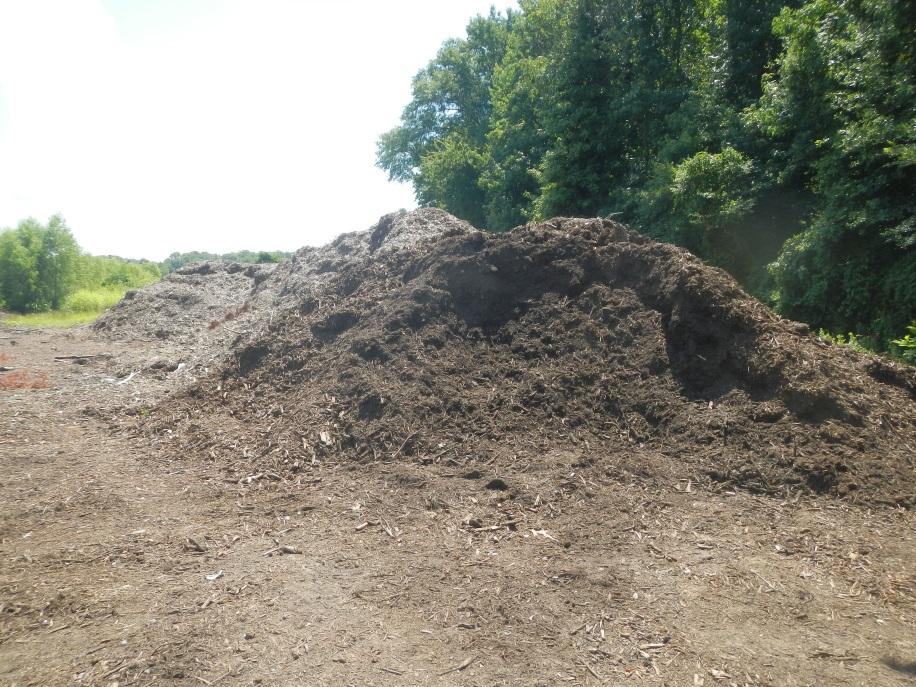 View of the compost pile, looking east.