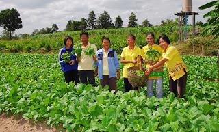 agriculture Promote