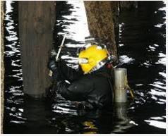 Reduced Diver Inspection
