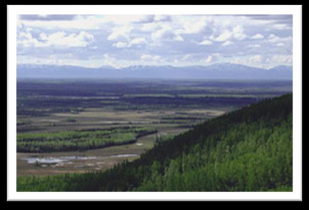 TIMBER RESOURCES - RECENT ACTIVITY - Division of Forestry manages forests for multiple uses and the sustained yield of renewable resources on 20 million acres of State land Alaska has 17% of the