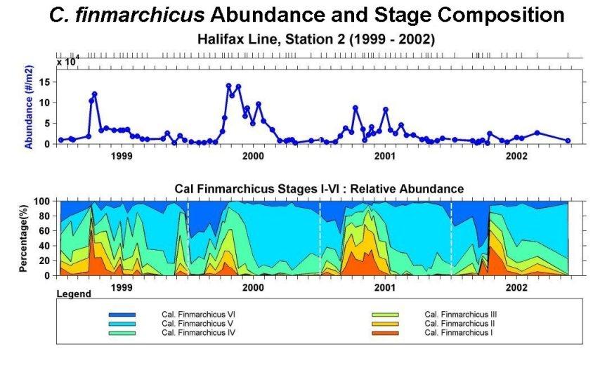 finmarchicus abundance dramatically decreased at Halifax-2 over the 4-year observation period; trends at the other two stations are not as apparent although C.