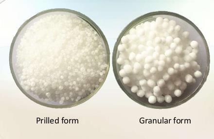 UREA What is urea and why it is important?