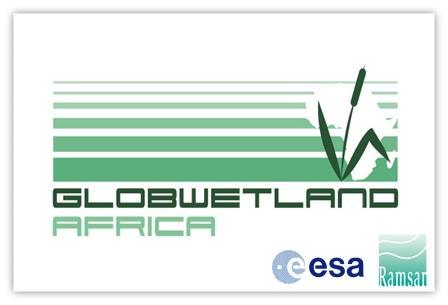 Initiative and the development of a Global Wetlands Observing System (GWOS) in line