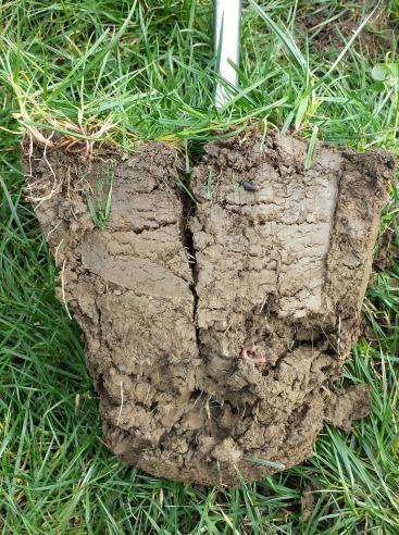 Farm Walk Stop 1: Investigating soil compaction Over 70% of grassland soils in England and Wales are thought to be