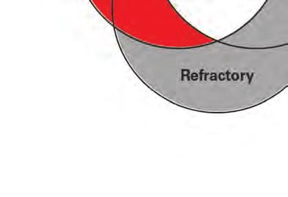 Process know-how, operational know-how, expertise e in refractory and furnace cooling as well as furnace design: