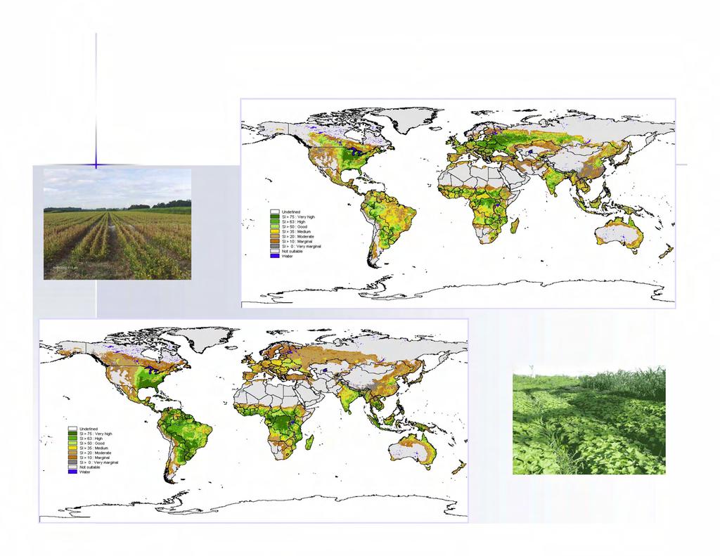 Global Land Suitability for 1 st and 2 nd Gen.