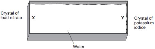 After 3 minutes solid lead iodide started to form at the position shown in Figure 3.