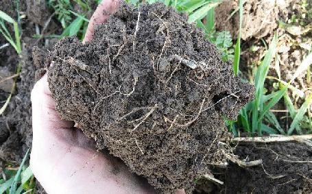 Soil Health Field Assessment Worksheet Appendix Compaction Soil compaction in agricultural systems can result from repeated wheel or hoof traffic, or repeated tillage at the same depth.