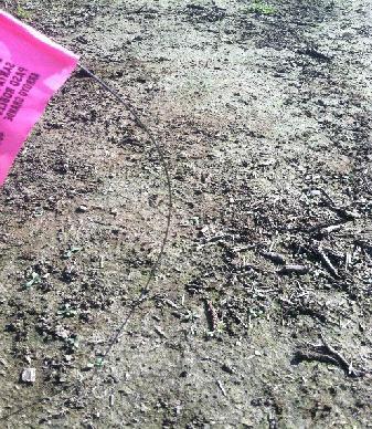 Strong structure has units that are distinct in undisturbed soil and separate cleanly. Moderate structure has units that are well-formed and evident in place or in a hand sample.