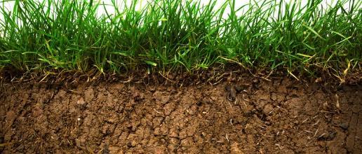 Build The Soil Keep soil covered as much as possible Disturb soil as little as possible Keep