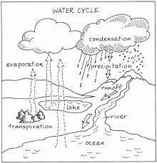 Directions: Review the diagram of the Water Cycle below then answer the following questions. 19.