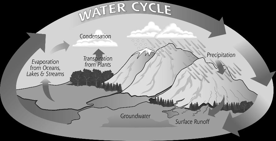Water covers as much as 75 percent of the Earth s surface. Geologic evidence suggests that large amounts of water have likely flowed on Earth for the past 3.8 billion years most of its existence.