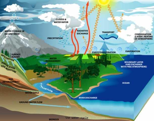 The water cycle describes the way that water moves through our world. It has four main parts. Evaporation: the way we describe liquid water turning into water vapor.