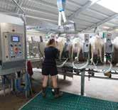 self-locking head lock. Once milking is complete the head lock opens automatically just before the exit. Guided chute for entering the parlour.