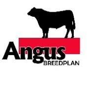 Contact Details For further enquiries regarding Angus BREEDPLAN, please contact Email Phone Fax Address Angus