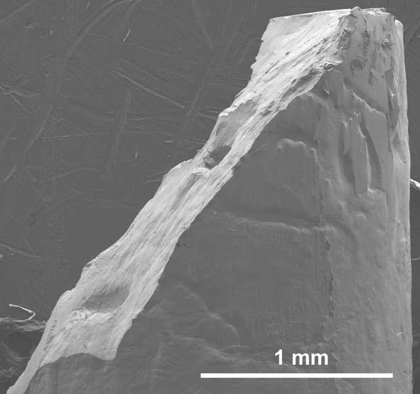 Fig. 7. Fracture and lateral surfaces of the Ni 40 Cu 10 Ti 35 Zr 15 alloy. Thus, the crystal-glassy composites were formed in Y-Cu-Ag, Y-Cu-Al and Cu-Y- Ag and Ni-Cu-Ti-Zr alloys.
