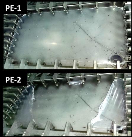 Selection of PE Grade for Tenter Frame Process Resin MI (g/10min) Density (g/cc) O Orientable temperature x Unorientable temperature MD DSC heating PE-1 1.7 0.926 TD PE-2 1.6 0.