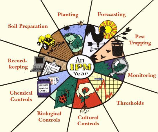 Integrated Pest Management What is IPM?