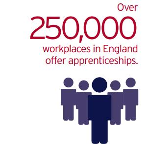 Our service supports the delivery of apprenticeships and traineeships in the Lancashire area.