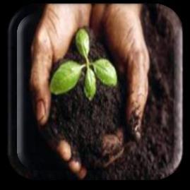 Soil health is enhanced to improve water quality,