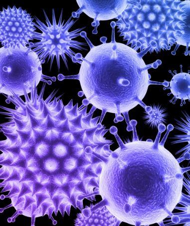 Pathogenic Microorganisms Viruses