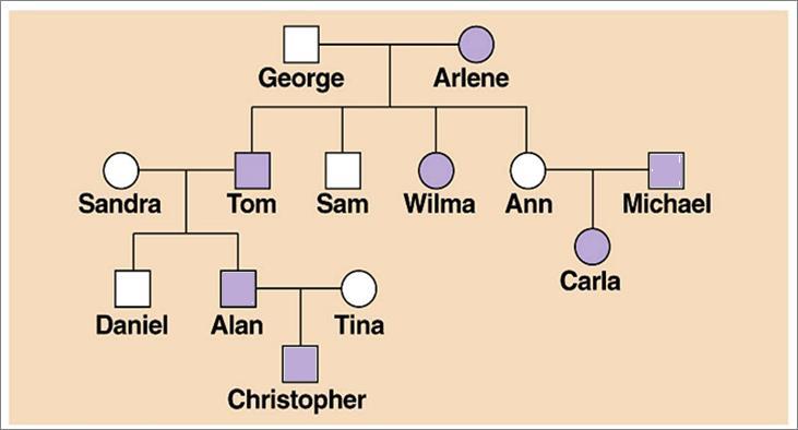 ii. The females can be (X c X c ) if they inherited two copies of the gene 4. Assign remaining genotypes to (unshaded) individuals a.