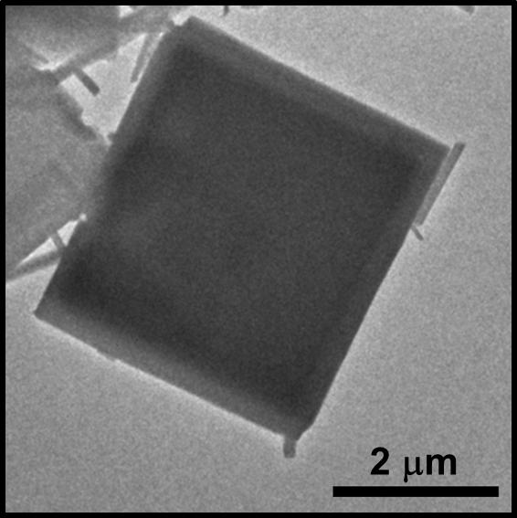 Fig. S4 A TEM image of the porphyrin assemblies