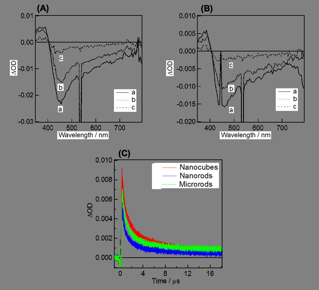Fig. S6 Nanosecond transient absorption spectra of (A) nanorods and (B) microrods